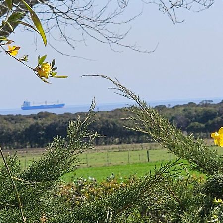 La Monturera, Loft De Campo Lejlighed Colonia del Sacramento Eksteriør billede