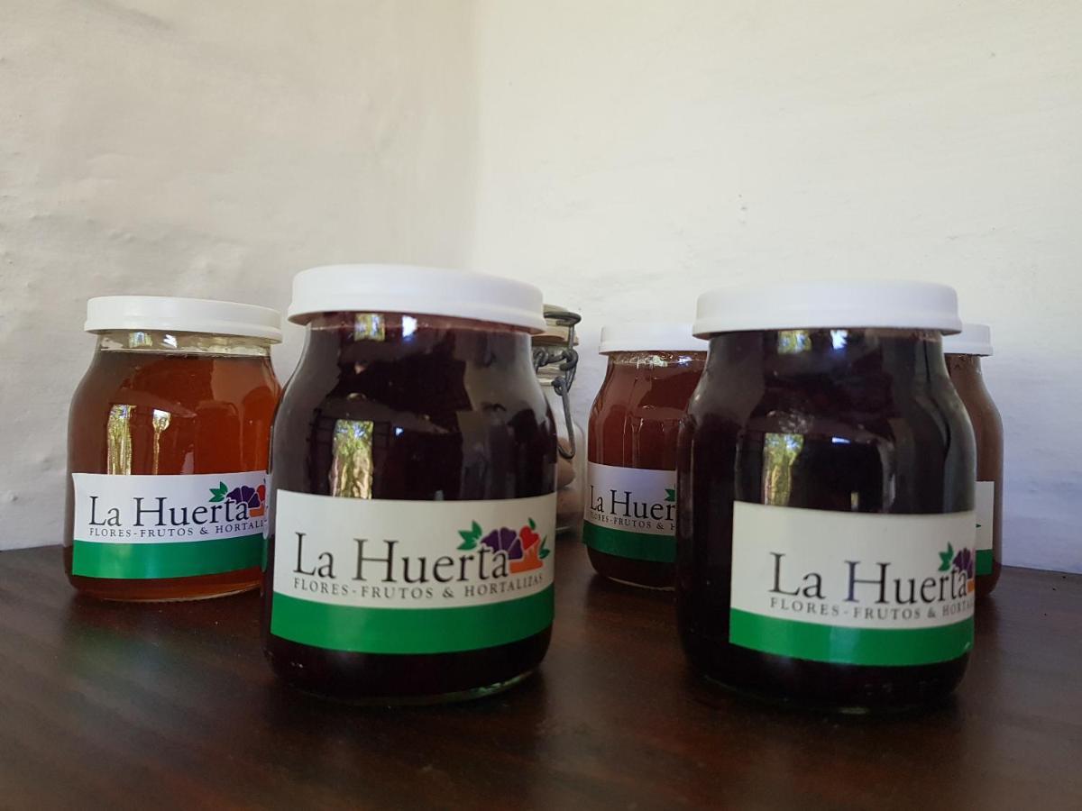 La Monturera, Loft De Campo Lejlighed Colonia del Sacramento Eksteriør billede