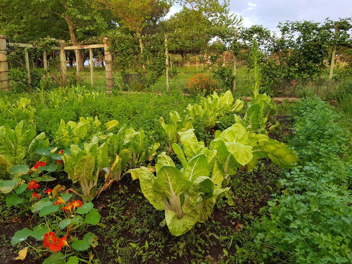 La Monturera, Loft De Campo Lejlighed Colonia del Sacramento Eksteriør billede