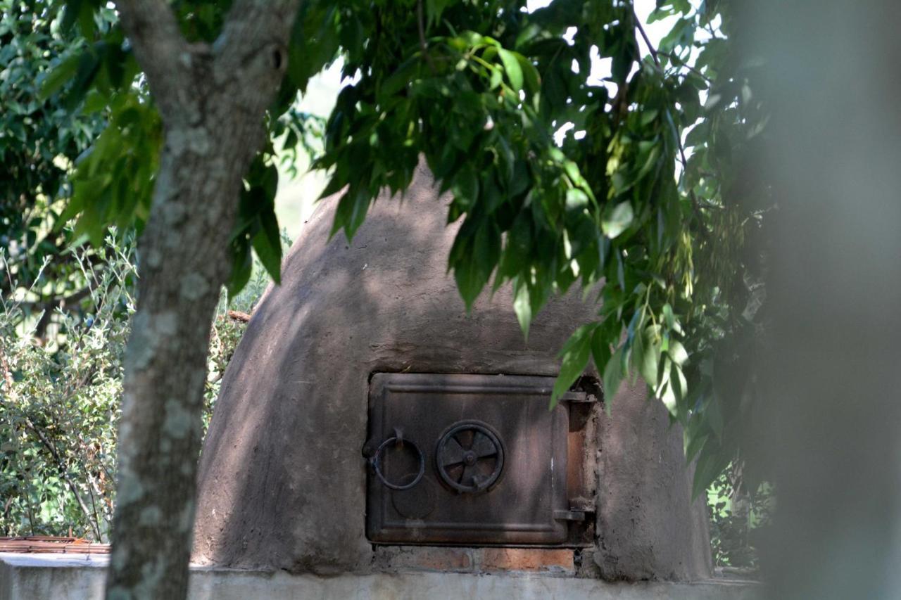 La Monturera, Loft De Campo Lejlighed Colonia del Sacramento Eksteriør billede