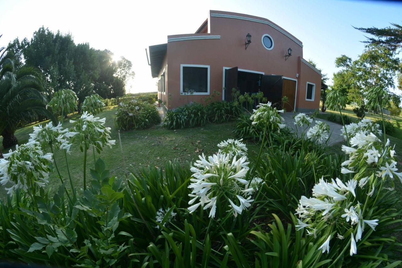 La Monturera, Loft De Campo Lejlighed Colonia del Sacramento Eksteriør billede