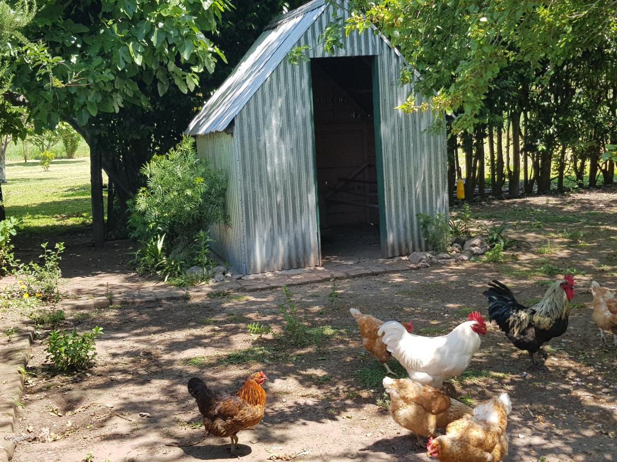 La Monturera, Loft De Campo Lejlighed Colonia del Sacramento Eksteriør billede