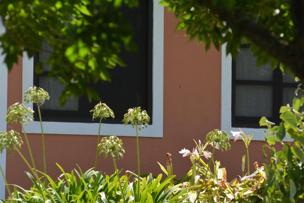 La Monturera, Loft De Campo Lejlighed Colonia del Sacramento Eksteriør billede