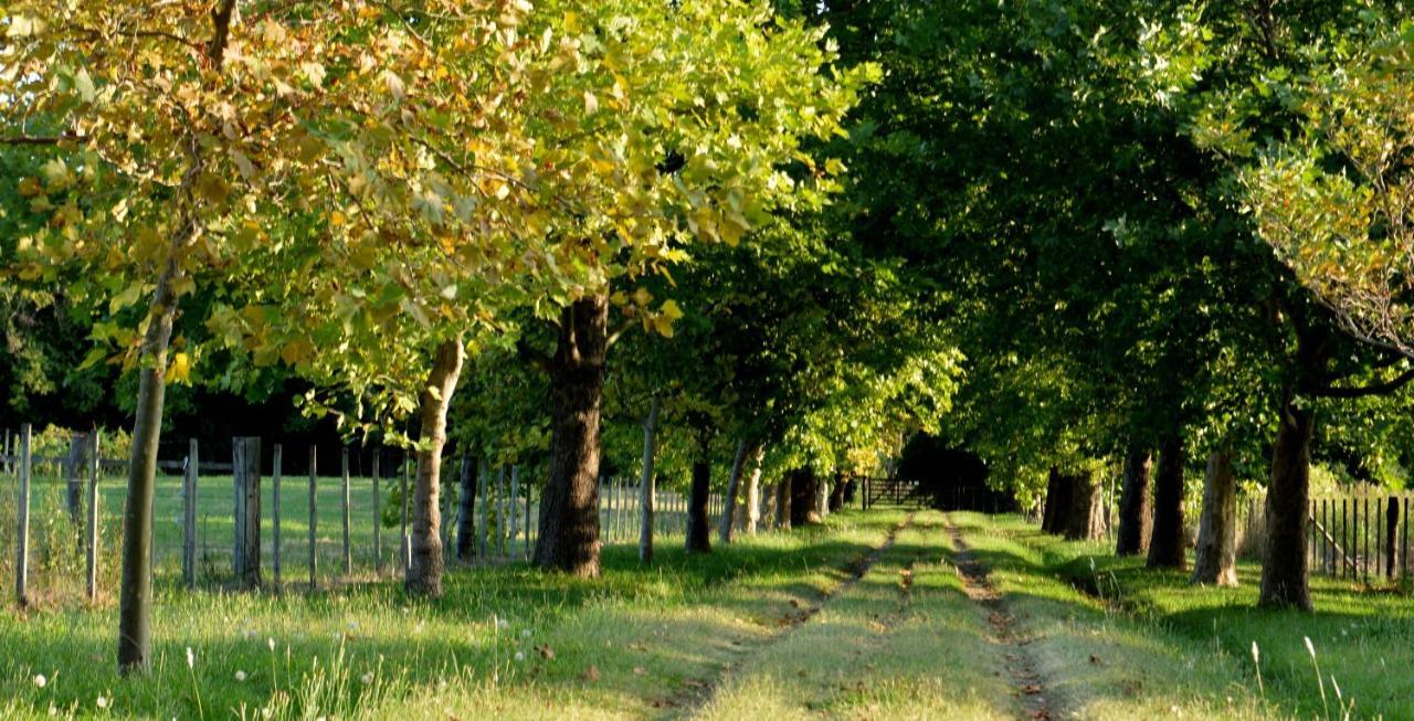 La Monturera, Loft De Campo Lejlighed Colonia del Sacramento Eksteriør billede