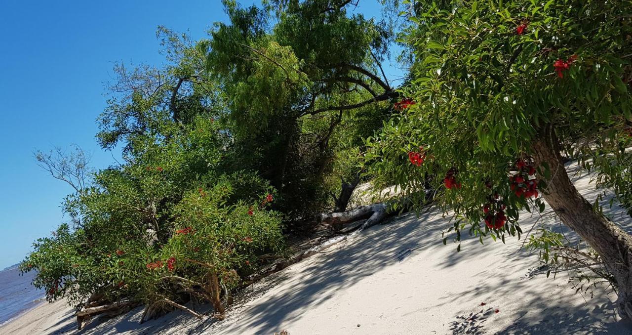 La Monturera, Loft De Campo Lejlighed Colonia del Sacramento Eksteriør billede