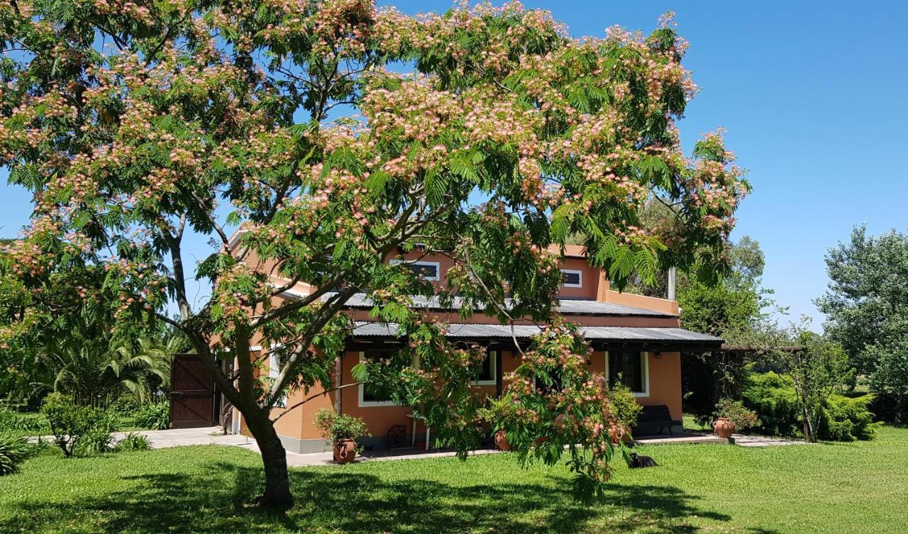 La Monturera, Loft De Campo Lejlighed Colonia del Sacramento Eksteriør billede